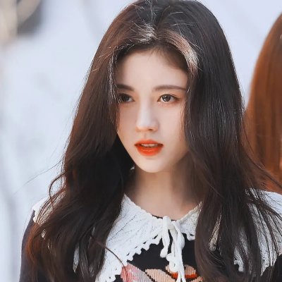 欲海迎春花封面